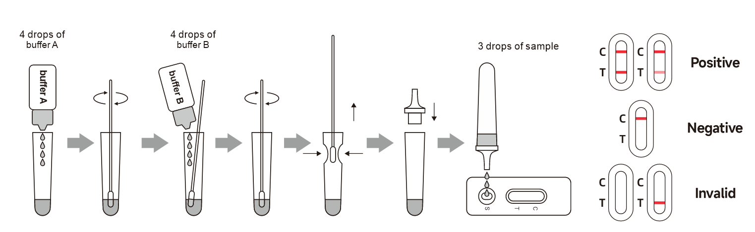 hpv-antigen-rapid-test-operation.png
