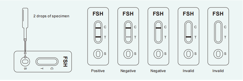 follicle-stimulating-hormone-rapid-test.png