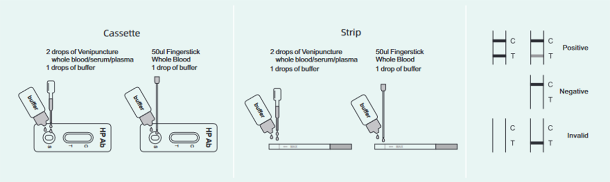 h-pylori-antibody-rapid-test2.png