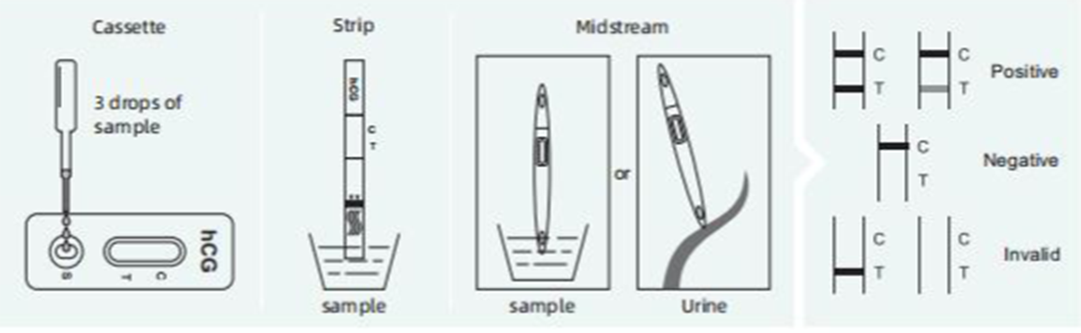 human-chorionic-gonadotropin-hcg-rapid-test1.png
