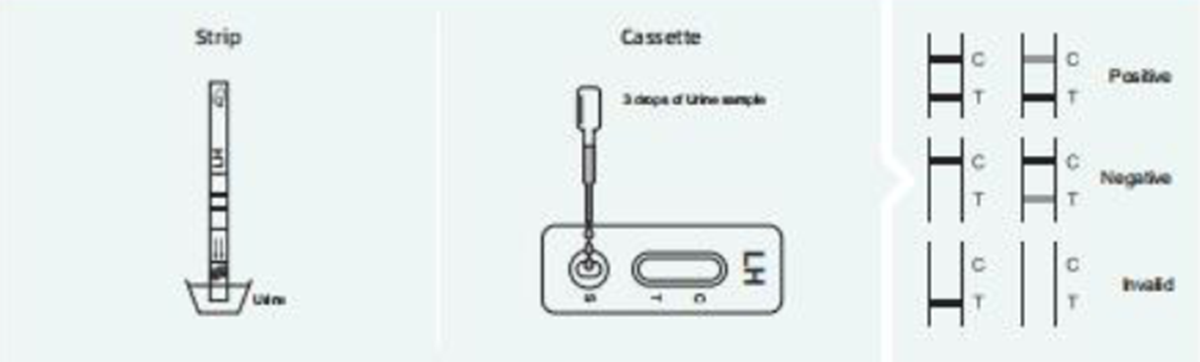 luteinizing-hormone-lh-rapid-test1.png