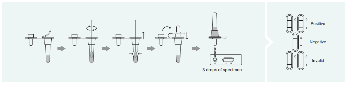 respiratory-syncytial-virus-rapid-test.png