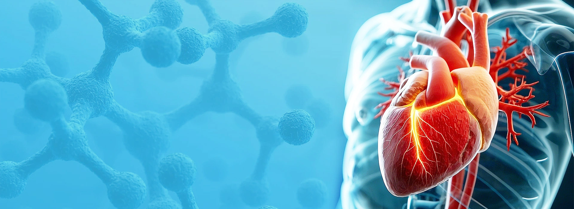 Cardiac Marker Rapid Test Kits