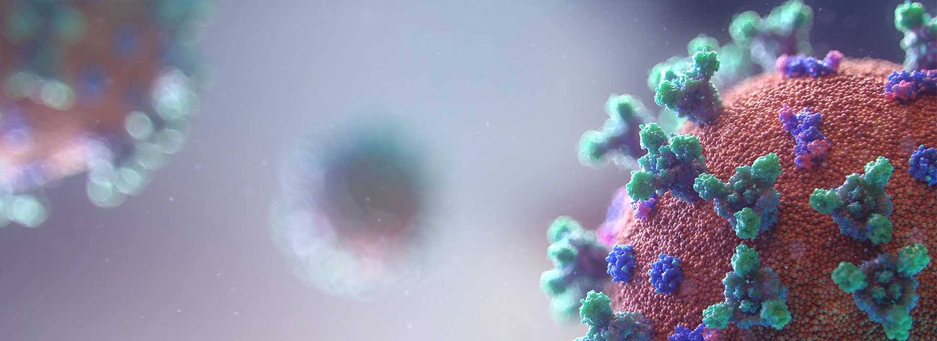 Respiratory Infectious Disease Rapid Test Kits