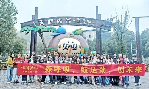 Fanttest Team 2025 Wilderness Team Chronicle